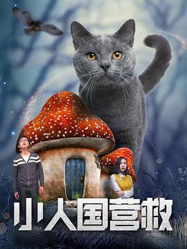 新妻子的情人2