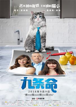 亚洲福利视频二区