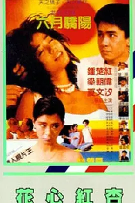 精品久久久久久久一区二区手机版
