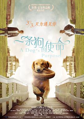 亚洲综合欧美综合