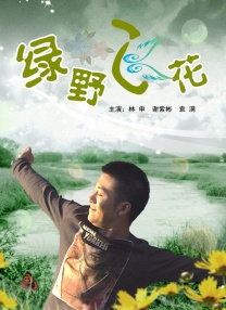 av在线播放器