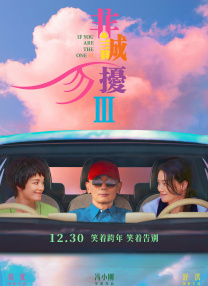 久久亚洲人成国产精品