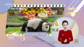 xx性